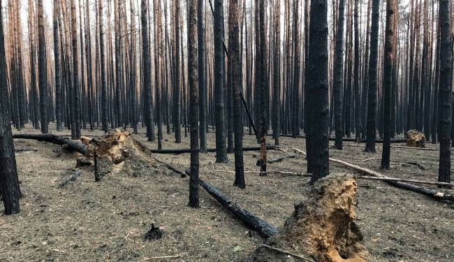 PRAKTIČNA ZNANOST: DHMZ radi na sustavu ranog upozoravanja na ekstremne klimatske događaje