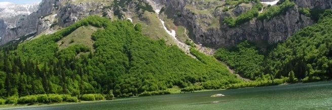 BITKA ZA SUTJESKU 2014. Bosna i Hercegovina na rubu da izgubi najstariji nacionalni park