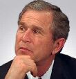 Svijet Busha doživljava kao neprijatelja mira