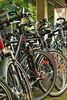 POZIV NA DRUŽENJE: Ljetne vožnje su gotove, ali to ne mora biti kraj bicikliranju za ovu godinu 