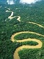 Spasimo Amazonu