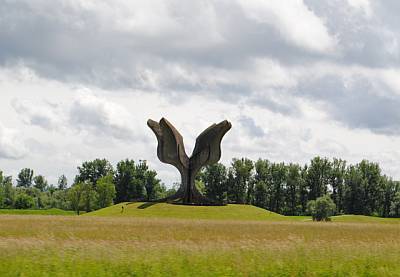 Jasenovac - Kameni cvijet