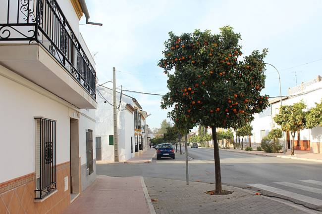 Marinaleda street