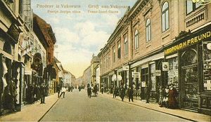 BOJAN GLAVAŠEVIĆ - SJEĆANJE NA VUKOVAR: Ne želim pamtiti samo krv