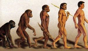 POVRATAK U DOBA INKVIZICIJE: Doktori znanosti i akademici potpisuju peticiju za izbacivanje teorije evolucije iz škola