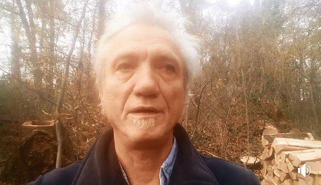OSTAJE SAMO PUNO HRASTOVINE: Rundek videom upozorio na sječu hrastova u zagrebačkoj park-šumi