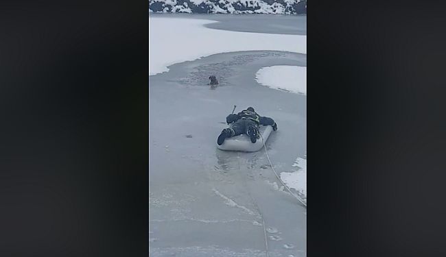 HRABRI ČIN VUKOVARSKIH VATROGASACA: Na zračnom madracu izvukli psa iz ledene rijeke