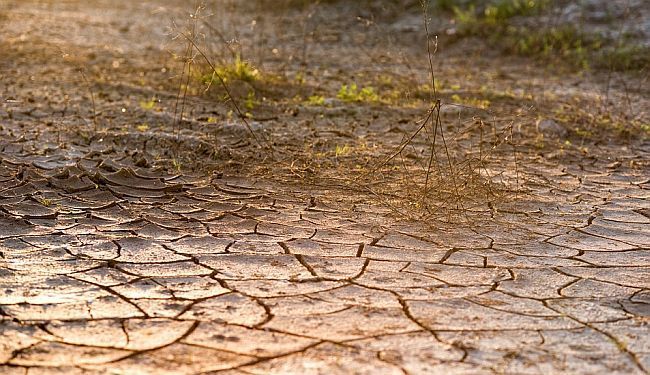 APEL: „Hrvatska još uvijek nije spremna na posljedice klimatskih promjena, a među najugroženijima je u Europi“