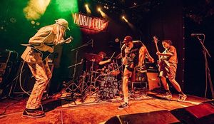 STIŽE ALTERNATIVNI DIY FESTIVAL: „Ajmo Zagrebe, vreme je za Ljubav. Bes ćemo negde drugde iskaliti“