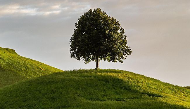 POSLJEDNJA ŽELJA: Nakon gledanja emisije “Nedjeljom u 2” na temu eutanazije