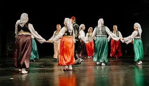 OZBILJAN DRUŠTVENI POREMEĆAJ: Suluda zabrana bošnjačkog folklora zbog užičkog kola