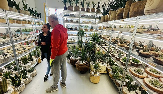 MALA PRIČA IZ SAVSKE: Razularena malograđanština ili Vele u zemlji čudesa