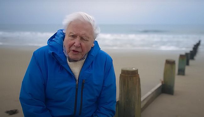 OCEAN WITH DAVID ATTENBOROUGH: Hitna molba u ime planete