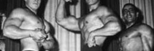 Arnie ima posla