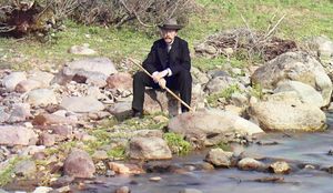 BORIS RAŠETA: Fotografije predrevolucionarne Rusije i hitleri iz naših sokaka