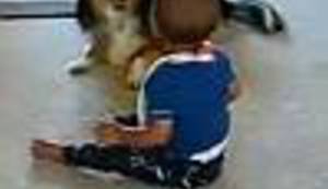 NEODOLJIVO: Pogledajte video koji će vam uljepšati dan