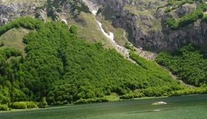 BITKA ZA SUTJESKU 2014. Bosna i Hercegovina na rubu da izgubi najstariji nacionalni park