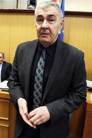 GENERAL S NEONACISTIMA: Kako je Željko Glasnović konačno stigao kući