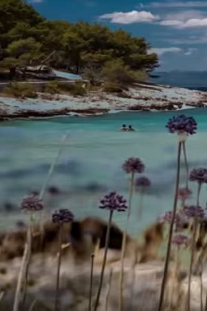 ŽEN IMA NOVI SPOT: Ljetni kadrovi „Jugomentala“ bude nostalgiju