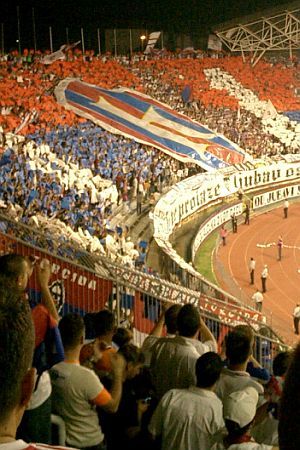 LJUTI TORCIDAŠI: Čime se i kime ponose vaši puleni omotani Hajdukovim šalovima