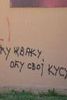 Kompilacija bh i srbijanskih grafita