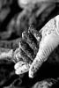 FOTO: Nenapisane knjige Srebrenice