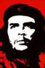 HASTA SIEMPRE COMANDANTE: Njegova milijun puta reprintana slika i danas je za mnoge simbol borbe za pravdu