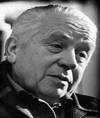BRANKO ĆOPIĆ: Pismo Ziji