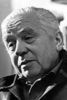 BRANKO ĆOPIĆ: Bašta sljezove boje