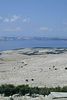 Otok, Goli