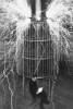 NIKOLA TESLA - PREKO KOLERE DO NOBELA: Te su noći znakovito tukle munje