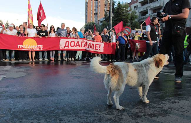 Prosvjedi Makedonija