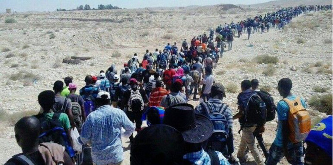 Eritrejske izbjeglice u maršu preko Sinaja