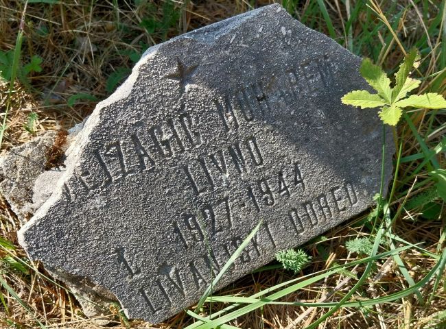 Partizansko groblje Livno