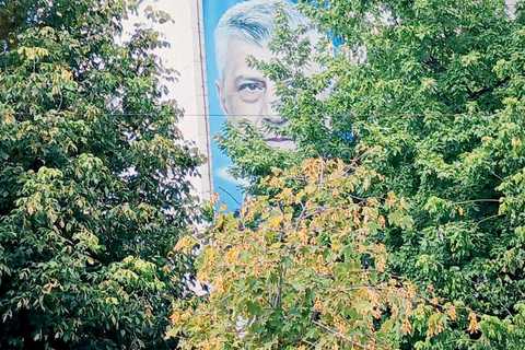 Mural iza krošnji