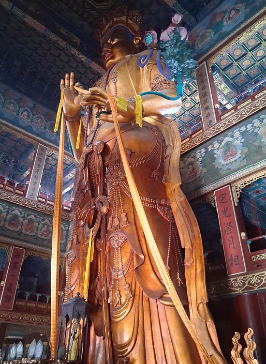 Peking
